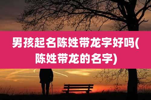 男孩起名陈姓带龙字好吗(陈姓带龙的名字)