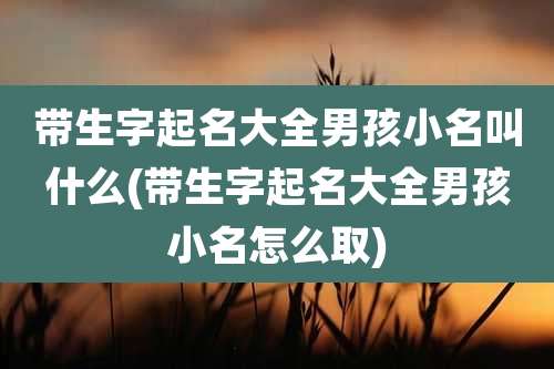 带生字起名大全男孩小名叫什么(带生字起名大全男孩小名怎么取)