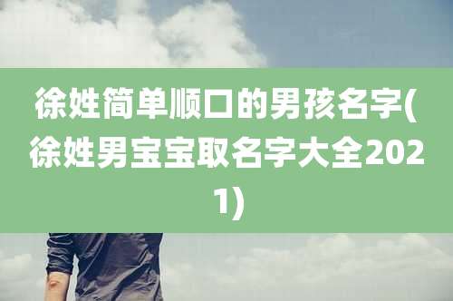 徐姓简单顺口的男孩名字(徐姓男宝宝取名字大全2021)