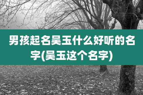 男孩起名吴玉什么好听的名字(吴玉这个名字)