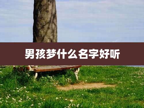 男孩梦什么名字好听