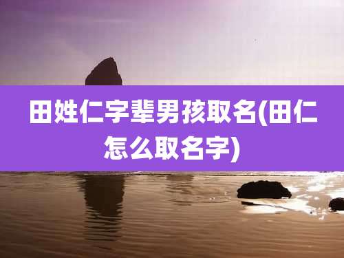 田姓仁字辈男孩取名(田仁怎么取名字)