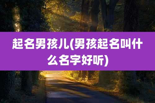 起名男孩儿(男孩起名叫什么名字好听)