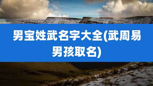 男宝姓武名字大全(武周易男孩取名)