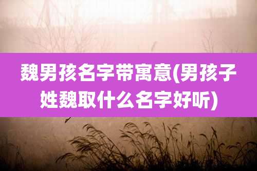 魏男孩名字带寓意(男孩子姓魏取什么名字好听)