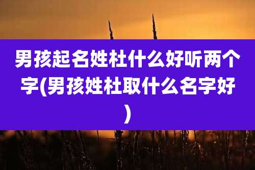 男孩起名姓杜什么好听两个字(男孩姓杜取什么名字好)