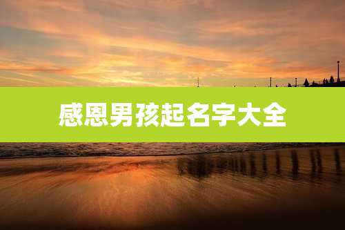 感恩男孩起名字大全