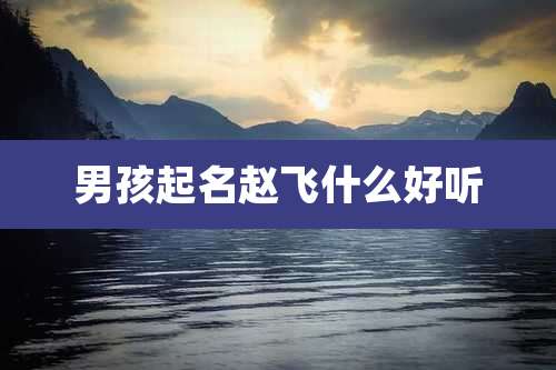 男孩起名赵飞什么好听