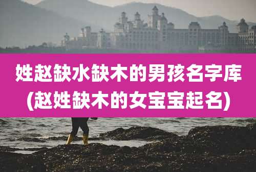 姓赵缺水缺木的男孩名字库(赵姓缺木的女宝宝起名)