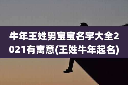 牛年王姓男宝宝名字大全2021有寓意(王姓牛年起名)