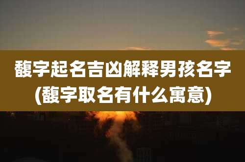 馥字起名吉凶解释男孩名字(馥字取名有什么寓意)