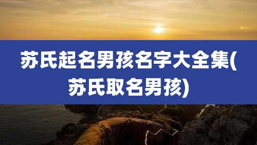 苏氏起名男孩名字大全集(苏氏取名男孩)