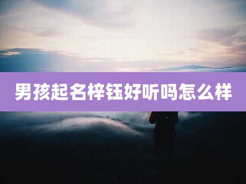 男孩起名梓钰好听吗怎么样