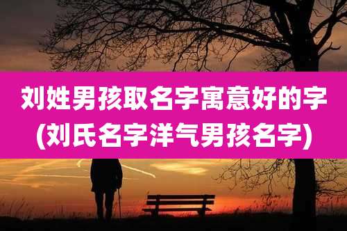 刘姓男孩取名字寓意好的字(刘氏名字洋气男孩名字)