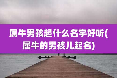 属牛男孩起什么名字好听(属牛的男孩儿起名)