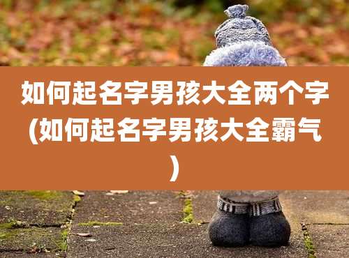如何起名字男孩大全两个字(如何起名字男孩大全霸气)
