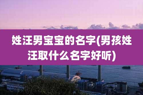 姓汪男宝宝的名字(男孩姓汪取什么名字好听)