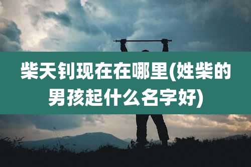 柴天钊现在在哪里(姓柴的男孩起什么名字好)