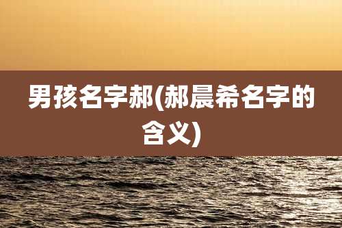 男孩名字郝(郝晨希名字的含义)