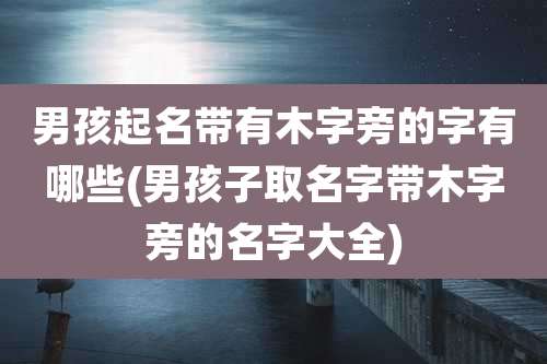 男孩起名带有木字旁的字有哪些(男孩子取名字带木字旁的名字大全)