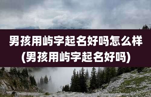 男孩用屿字起名好吗怎么样(男孩用屿字起名好吗)