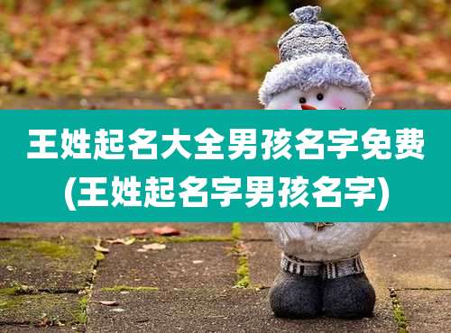 王姓起名大全男孩名字免费(王姓起名字男孩名字)