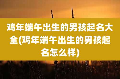 鸡年端午出生的男孩起名大全(鸡年端午出生的男孩起名怎么样)