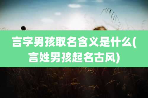 言字男孩取名含义是什么(言姓男孩起名古风)