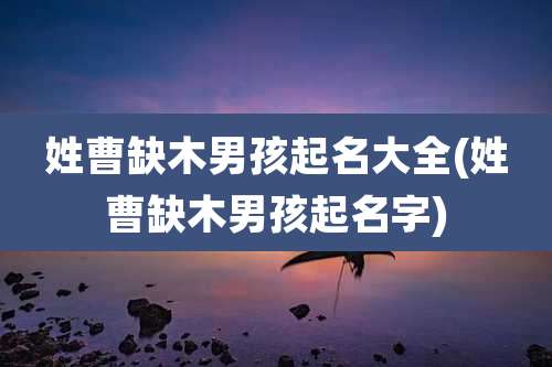 姓曹缺木男孩起名大全(姓曹缺木男孩起名字)