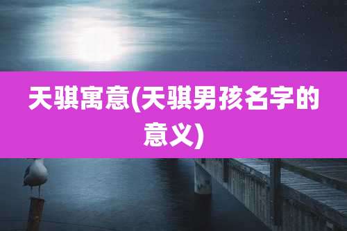 天骐寓意(天骐男孩名字的意义)