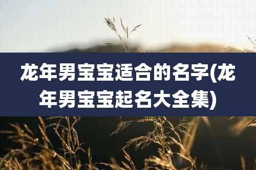 龙年男宝宝适合的名字(龙年男宝宝起名大全集)