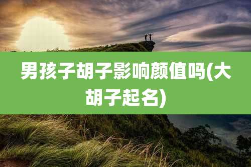 男孩子胡子影响颜值吗(大胡子起名)