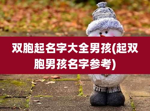双胞起名字大全男孩(起双胞男孩名字参考)