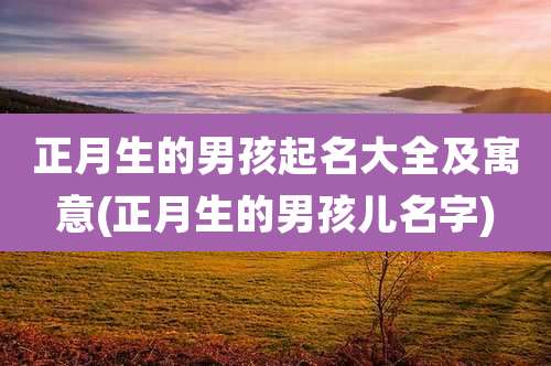 正月生的男孩起名大全及寓意(正月生的男孩儿名字)