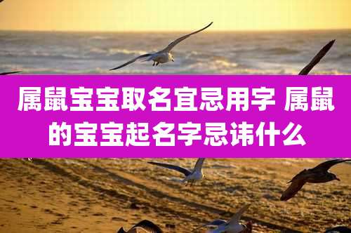 属鼠宝宝取名宜忌用字 属鼠的宝宝起名字忌讳什么