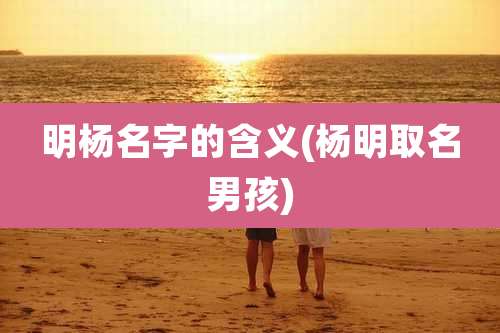 明杨名字的含义(杨明取名男孩)