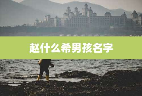 赵什么希男孩名字