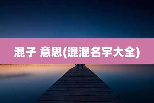 混子 意思(混混名字大全)