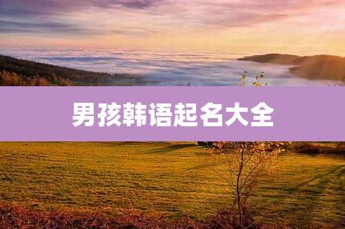 男孩韩语起名大全