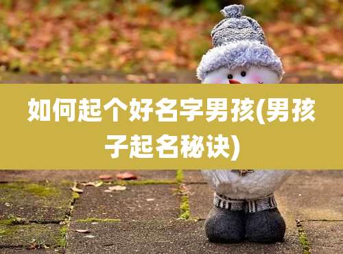 如何起个好名字男孩(男孩子起名秘诀)