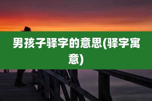 男孩子驿字的意思(驿字寓意)