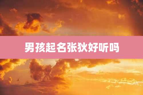 男孩起名张狄好听吗