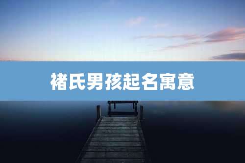 褚氏男孩起名寓意