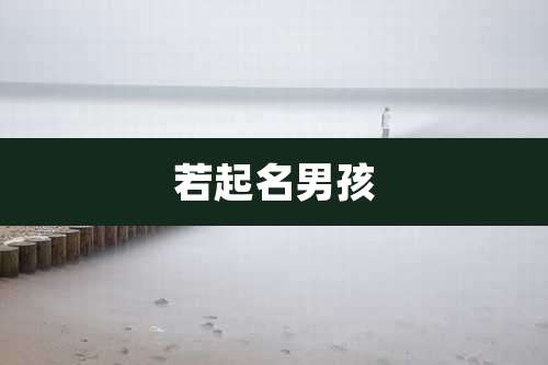 若起名男孩