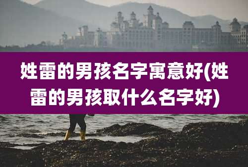姓雷的男孩名字寓意好(姓雷的男孩取什么名字好)