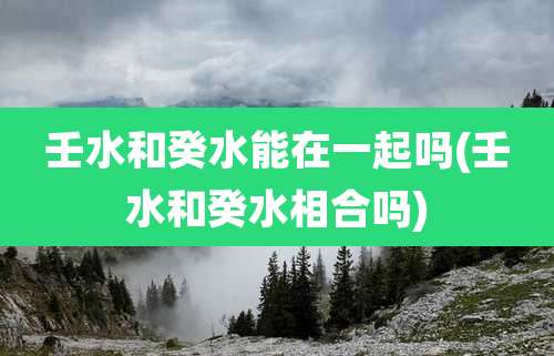 壬水和癸水能在一起吗(壬水和癸水相合吗)