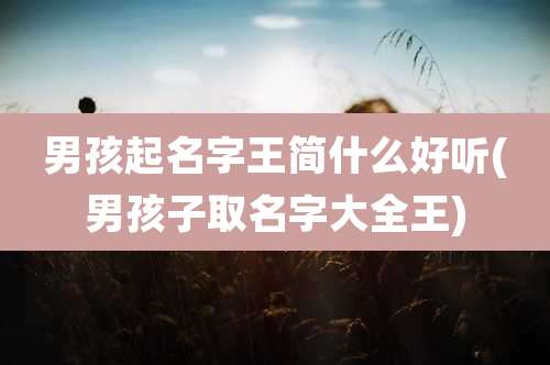 男孩起名字王简什么好听(男孩子取名字大全王)