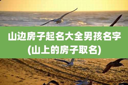 山边房子起名大全男孩名字(山上的房子取名)