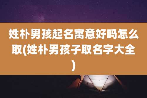 姓朴男孩起名寓意好吗怎么取(姓朴男孩子取名字大全)