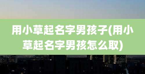 用小草起名字男孩子(用小草起名字男孩怎么取)